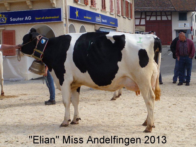 Miss Andelfingen